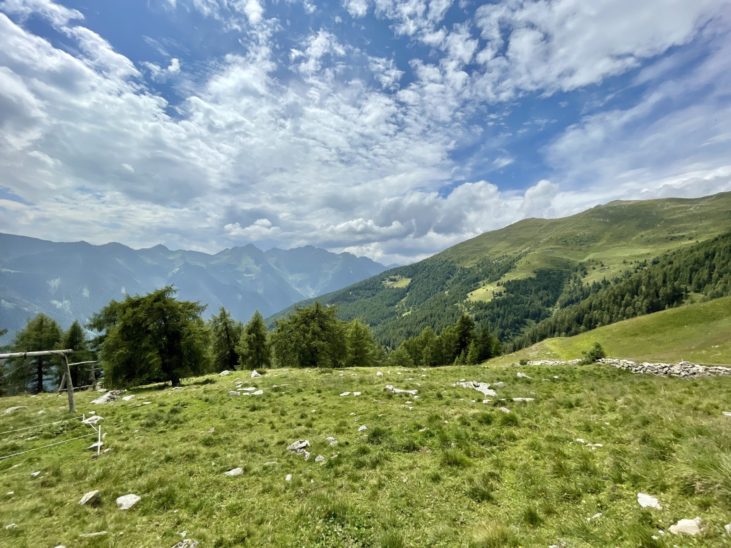 Mobile Reparatur Alpenwiese